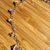 anklet